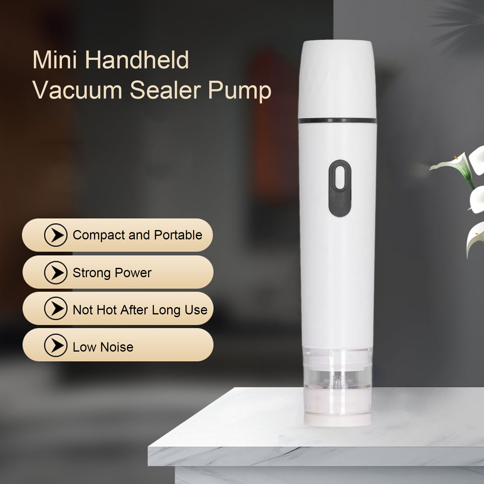 Electric Air Pump Handheld Vac - đánh giá và giá Food Vacuum Sealer Machine
